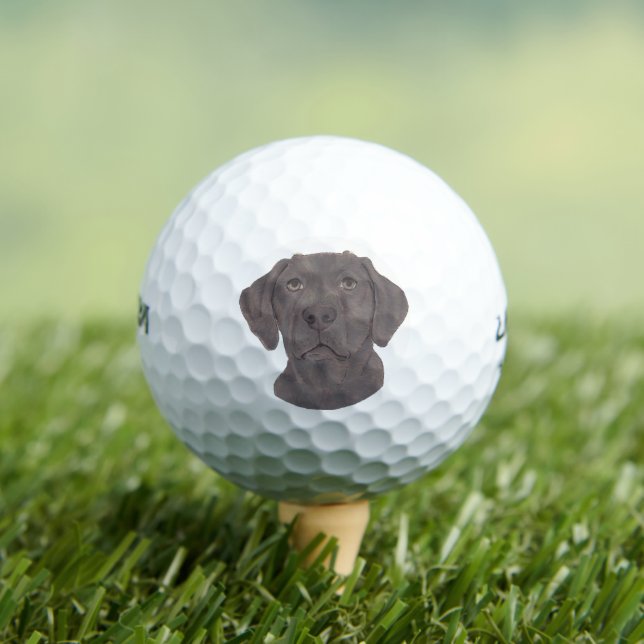 Pelotas De Golf Chocolate Labrador (Camiseta in situ)