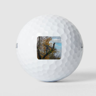 Pelotas De Golf Cirujano de árbol