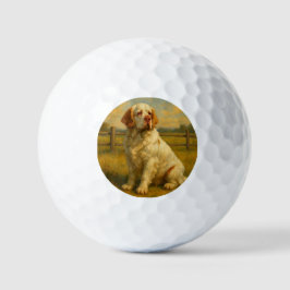 Pelotas De Golf Clumber Spaniel
