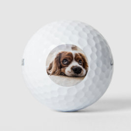 Pelotas De Golf Cocker Spaniel Dog de ojos tristes