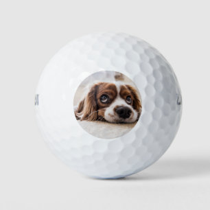 Pelotas De Golf Cocker Spaniel Dog de ojos tristes