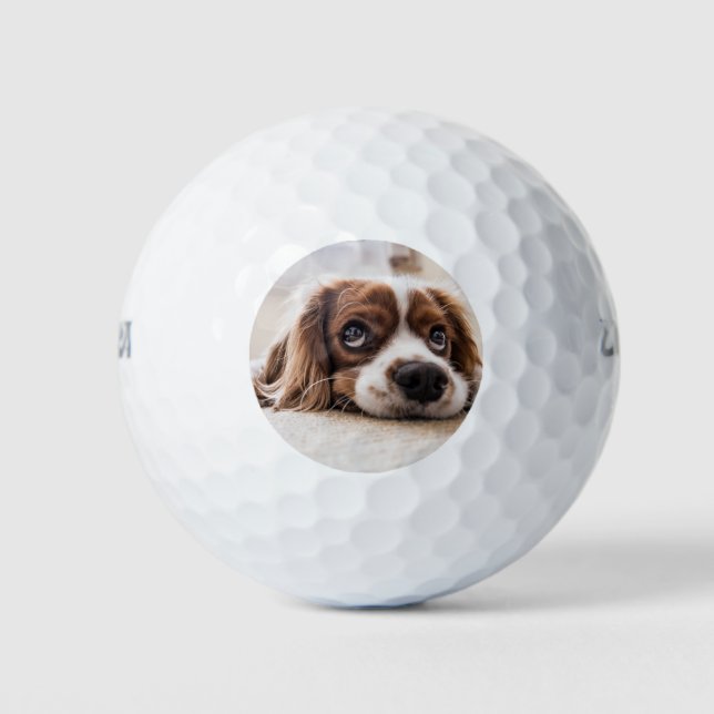 Pelotas De Golf Cocker Spaniel Dog de ojos tristes (Anverso)