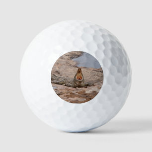 Pelotas De Golf Cocodrilo africano - Río Masai