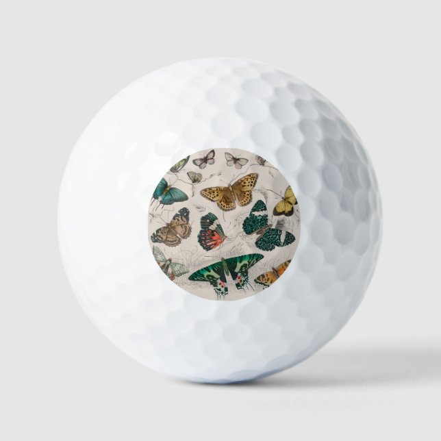Pelotas De Golf Colección de mariposa Mariposas antiguas (Anverso)