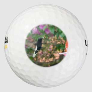 Pelotas De Golf Colibrí blanco y negro volando en un alimentador