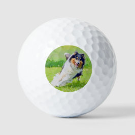 Pelotas De Golf Collie