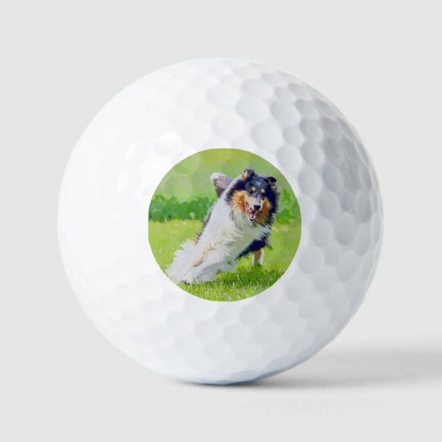 Pelotas De Golf Collie (Anverso)