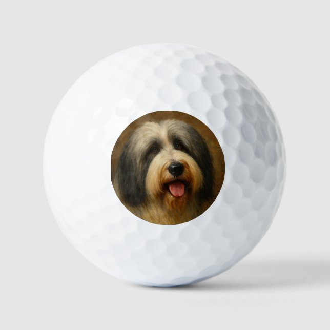 Pelotas De Golf Collie Barbudo (Anverso)