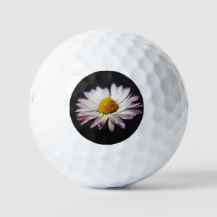 Pelotas De Golf Common Daisy be6 gbcna