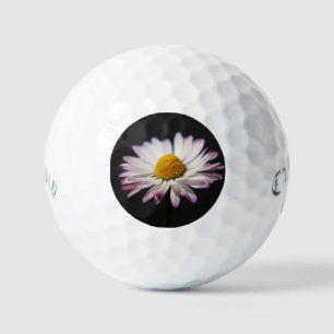 Pelotas De Golf Common Daisy css gbcna