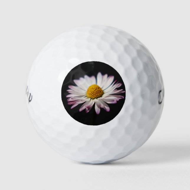 Pelotas De Golf Common Daisy cwb gbcnm (Anverso)