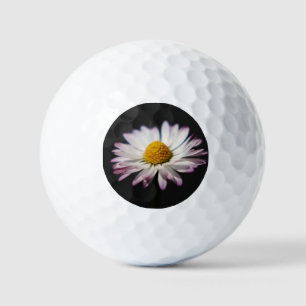 Pelotas De Golf Common Daisy va gbcnm