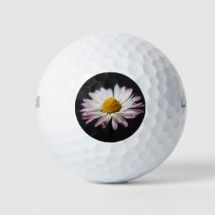 Pelotas De Golf Common Daisy wu gbcna
