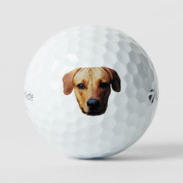 Pelotas de Golf con Cara de Perro Personalizadas