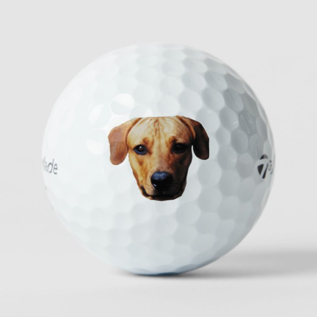 Pelotas de Golf con Cara de Perro Personalizadas (Anverso)