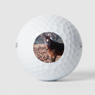 Pelotas De Golf Condado de Brown Farm Horse Raleigh