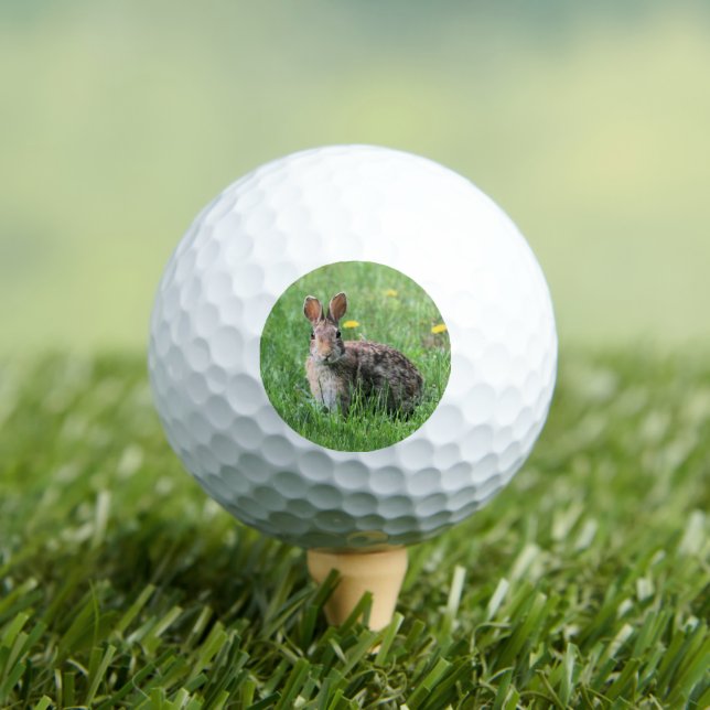 Pelotas De Golf Conejito (Camiseta in situ)