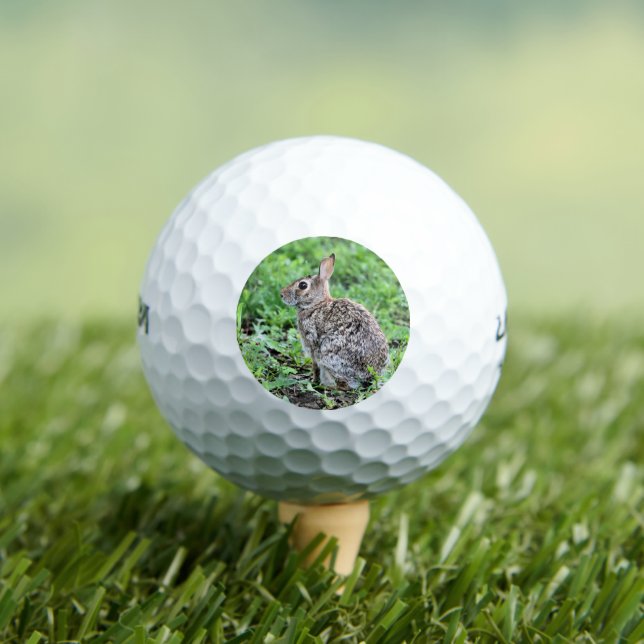 Pelotas De Golf Conejo (Camiseta in situ)