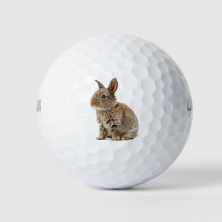 Pelotas De Golf Conejo de Conejo Cute Lucky Bunny