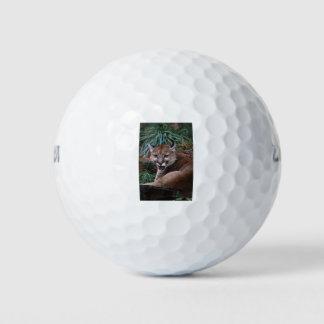 Pelotas De Golf Cougar