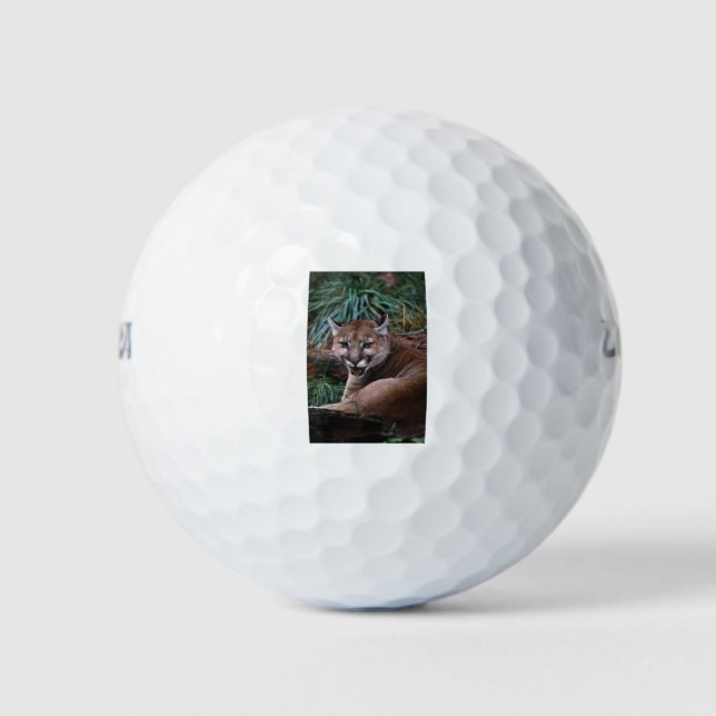 Pelotas De Golf Cougar (Anverso)