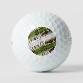 Pelotas De Golf Cowboys & Cowgirls