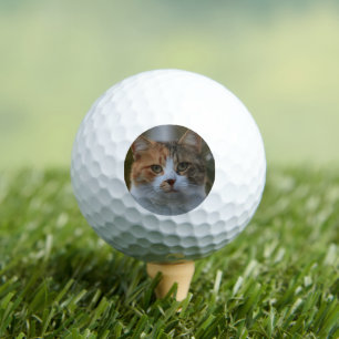 Pelotas De Golf Crea tu propia foto personalizada de tu gato como