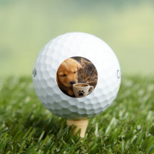 Crea tu propio perro y gato personalizado