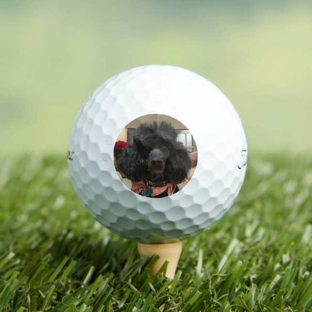 Pelotas De Golf Crea tu propio Personalizado de fotos de perro (Camiseta in situ)