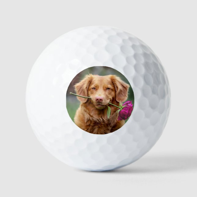 Pelotas De Golf Create your Own Photo (Anverso)