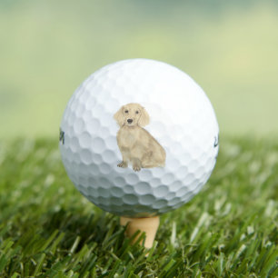 Pelotas De Golf Crema haitiana larga Dachshund