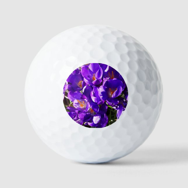 PELOTAS DE GOLF CROCUS DE PRIMAVERA (Anverso)
