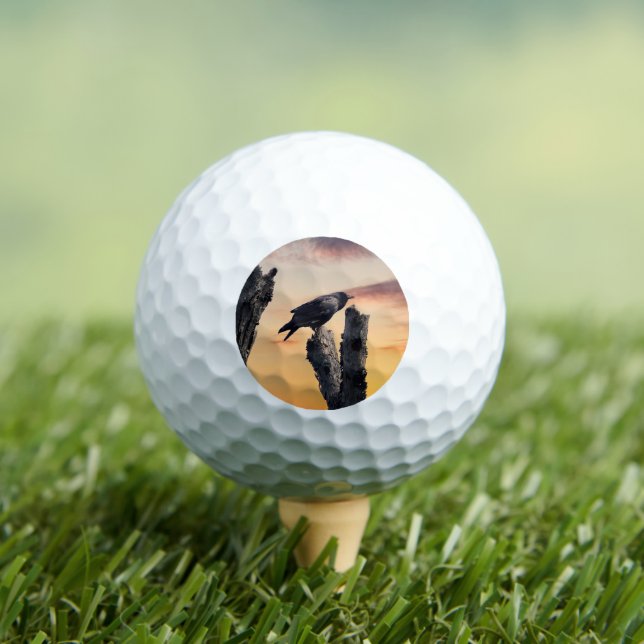 Pelotas De Golf Crow en el amanecer (Camiseta in situ)