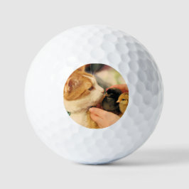 Pelotas De Golf Cuadros
