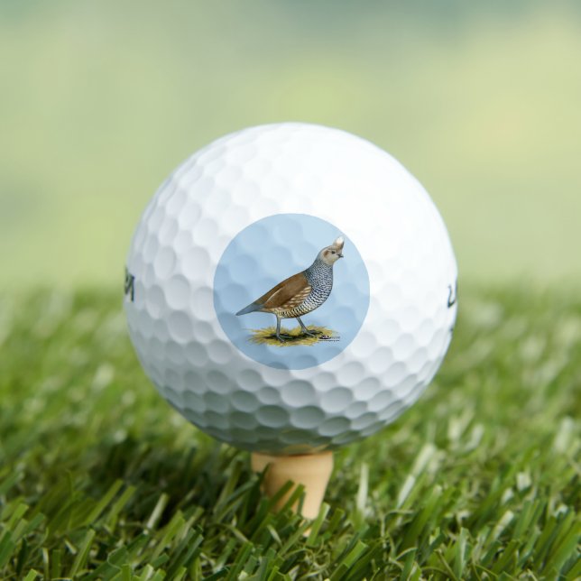 Pelotas De Golf Cual escalada (Camiseta in situ)