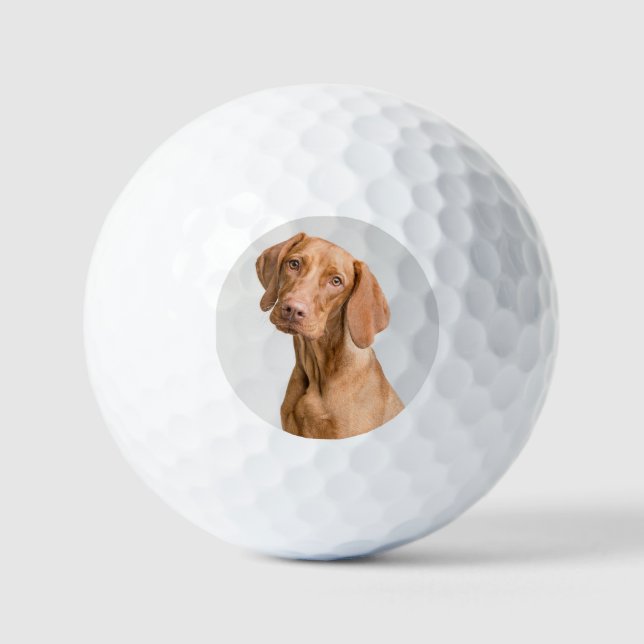 Pelotas De Golf Custom Dog Photo Golf (Anverso)
