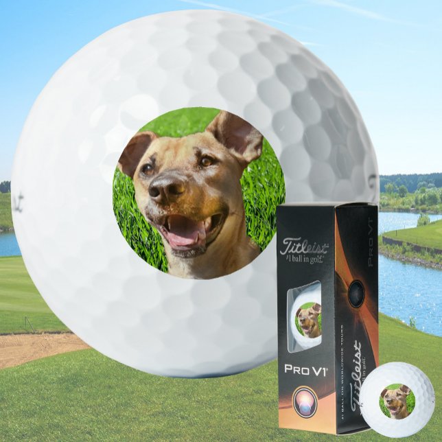 Pelotas De Golf Custom Golf Balls With Dog Picture Create Your Own (Subido por el creador)