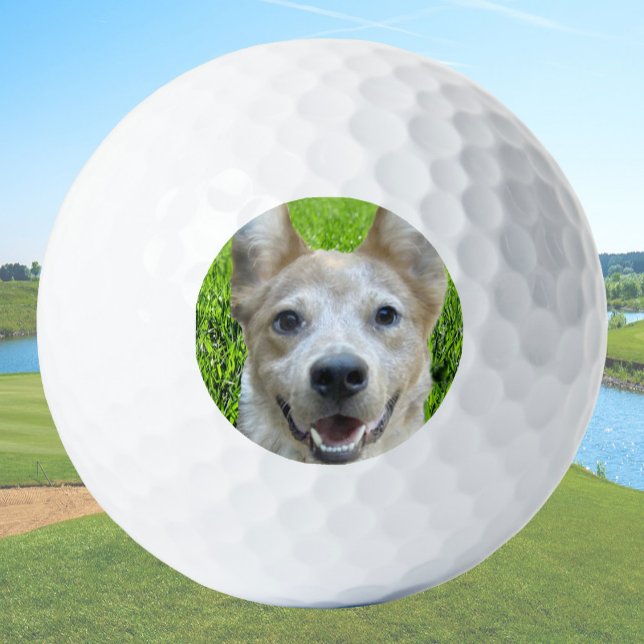 Pelotas De Golf Custom Golf Balls With Dog Picture Create Your Own (Subido por el creador)