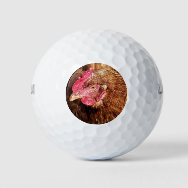 PELOTAS DE GOLF CUTE CHICKEN (Anverso)