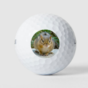 Pelotas De Golf Cute Chipmunk Tiene La Vista En Ti