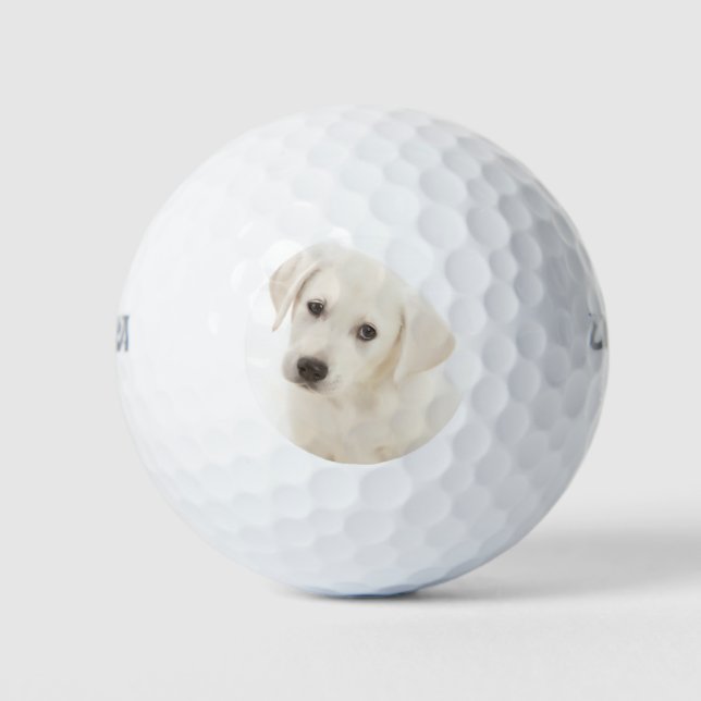 Pelotas De Golf Cute Labrador Recuperador Puppy (Anverso)
