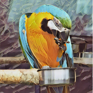 PELOTAS DE GOLF CUTE MACAW