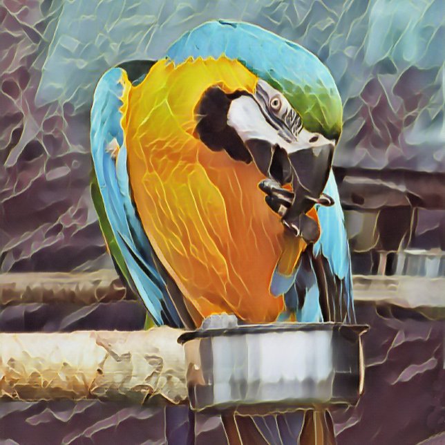 PELOTAS DE GOLF CUTE MACAW (An art design of a cute macaw.)