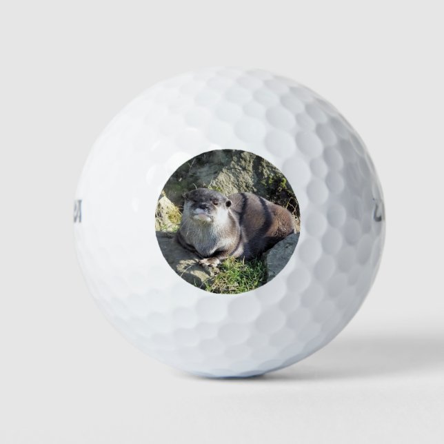 PELOTAS DE GOLF CUTE OTTER (Anverso)