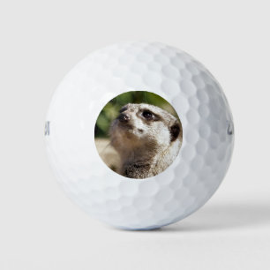 PELOTAS DE GOLF CUTE PEQUEÑO MEERKAT