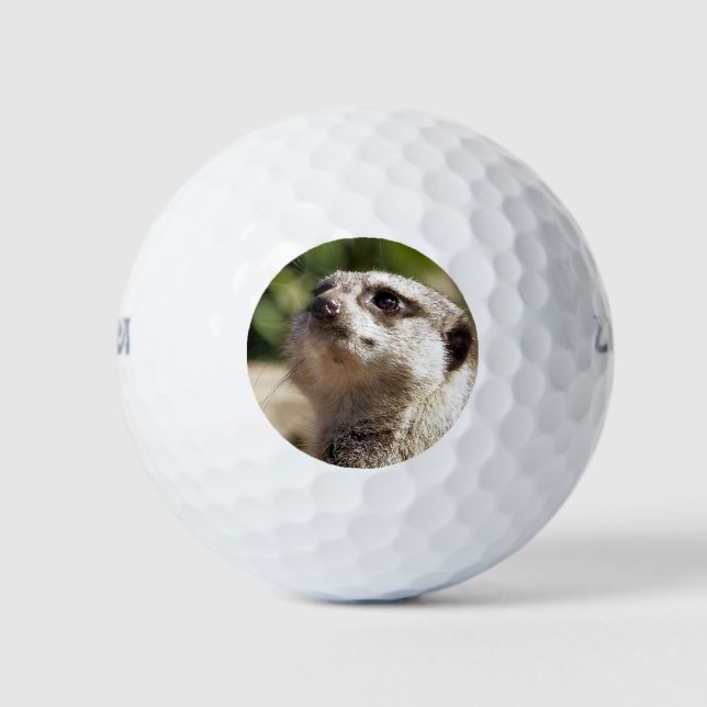 PELOTAS DE GOLF CUTE PEQUEÑO MEERKAT (Anverso)