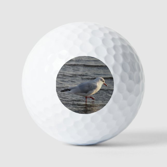 Pelotas De Golf Cute Seagull (Anverso)