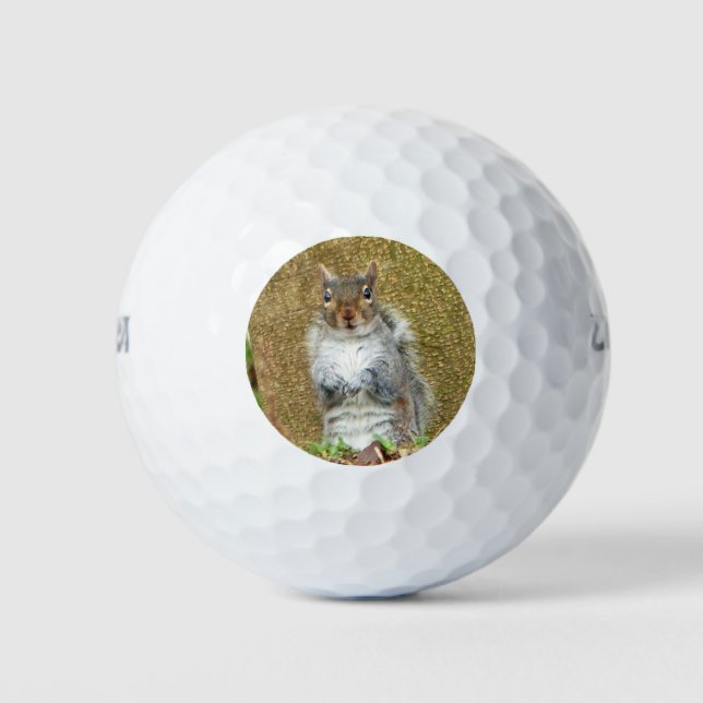 Pelotas De Golf Cute Squirrel (Anverso)
