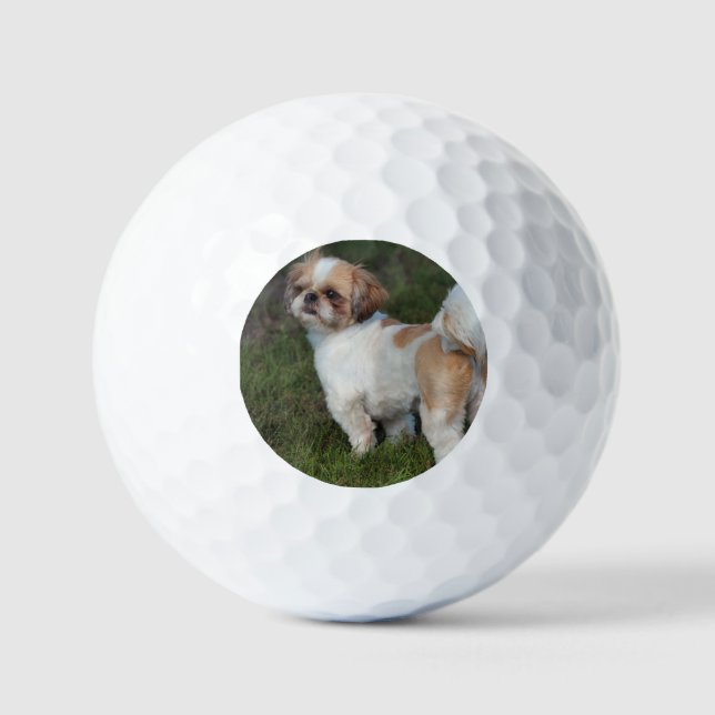 Pelotas De Golf Cutest shih tzu (Anverso)