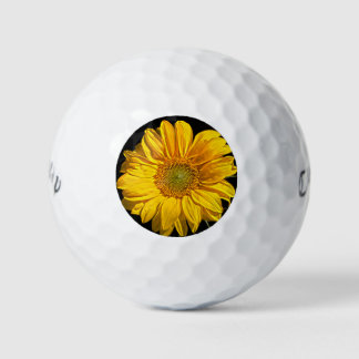 Pelotas De Golf Cwb gbcna